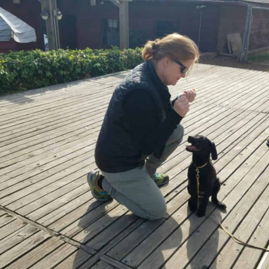 tara-reynaud-dog-trainer